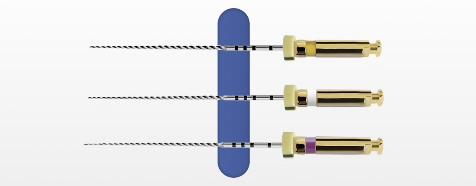 C-PATH ROTARY